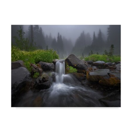 Trademark Fine Art Jianyi Wu 'Paradise Creek Falls' Canvas Art, 35x47 1X04697-C3547GG